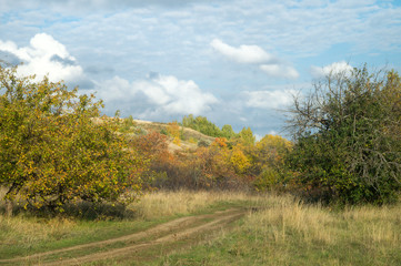 Autumn rural road in an old orchard under a picturesque cloudy blue sky. Russian nature lanscape