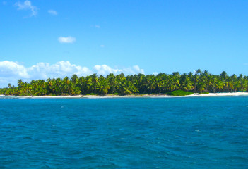 Fototapeta na wymiar Tropical beach in caribbean sea, Saona island, Dominican Republic