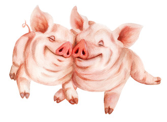 Two enamored funny pigs. Hand drawn watercolor - 229370073