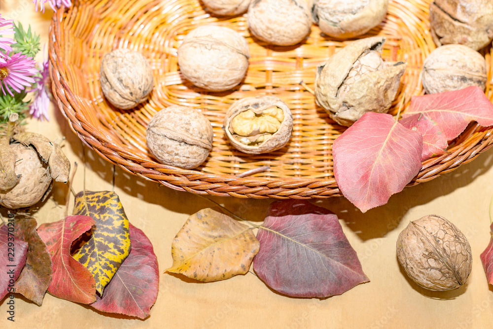 Canvas Prints basket with walnuts and autumn leaves of different colors on a w