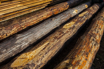 pine logs and boards