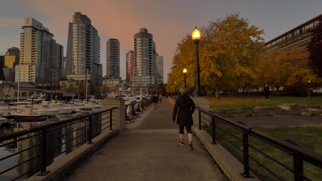 A  lady walking by the coal harbour vancouver canada on a early morning fall day