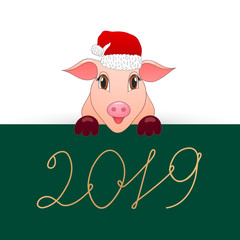 Pig is the symbol of the new 2019