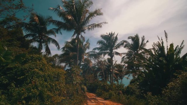 First person view camera walk in the tropical rain forest jungle during beautiful hot summer day - video in slow motion