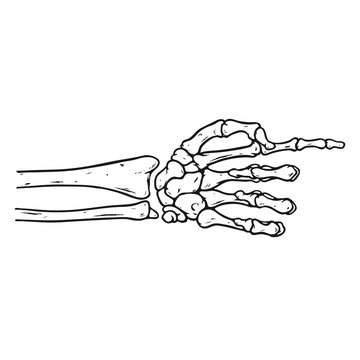 Pointing Hand Sign, Skeleton Hand, Vector Illustration