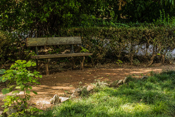outdoor park nature scenery environment and soft focus wooden poor bench near trail for walking
