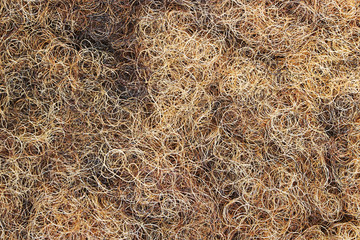 Filling upholstered retro furniture horse hair  treated with latex