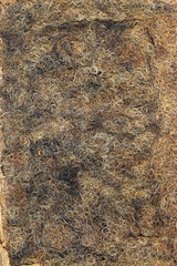 Retro filling upholstered furniture horse hair, treated with latex