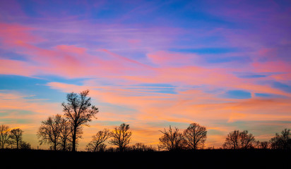 Fototapeta na wymiar Trees Silhouetted With Sunset