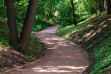 Fototapeta premium Winding path in the Park. Green grass, tree trunks in the foreground. Sunspots on the track and the surrounding slope