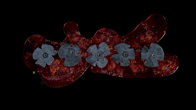 Isolated blueberries squish in the studio with black background