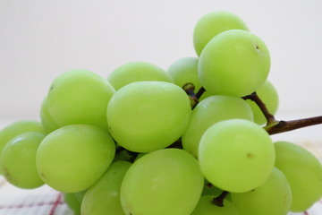 シャインマスカット