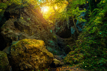 Mountain valley national park landscape view