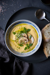 Cheese cream soup with mushrooms, herbs and white bread in gray plate on black background