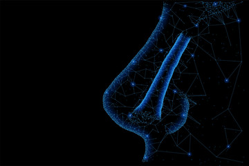 Nasal cavity structure
