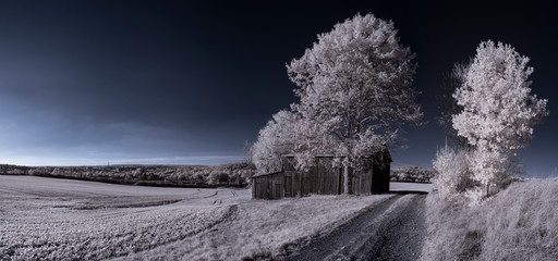 infrared photography - ir photo of landscape with tree under sky with clouds - the art of our world...