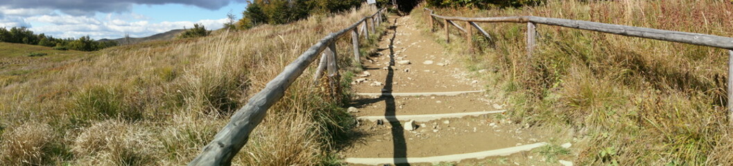 Obraz premium Bieszczadzki szlak