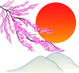 Japanese New Year, Sakura