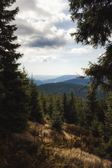 View of forest on hills and mountains.