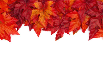 Naklejka na ściany i meble Autumn background with red and orange fall leaves isolated over white