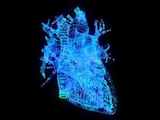 3d rendered illustration of a plexus heart