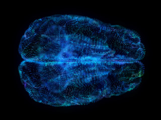 3d rendered illustration of an abstract plexus brain