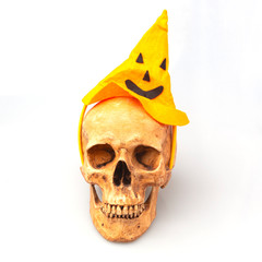 Halloween skull on white background