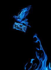 flame dove with envelope flying from blue flire on black