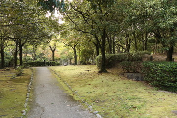 Fototapeta premium 公園の道