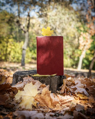 yellow maple leaf and a closed book with a red cover