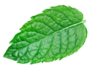 Obraz premium mint leaves isolated