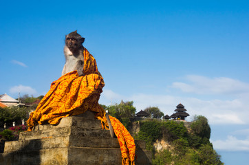 Playful monkey at the Uluwatu Temple in Bali, Indonesia