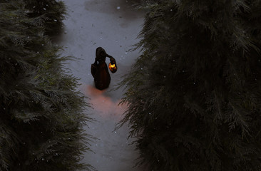 Winter's forest story,Young woman in hooded cloak with lantern in winter forest,3d illustration
