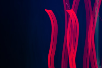 playing with the light