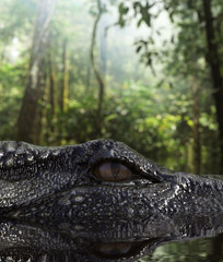 Giant crocodile in the lake,3d illustration conceptual