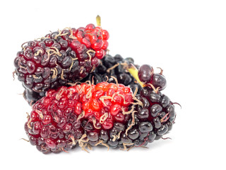 Group of mulberries isolated on white background. Mulberry this a fruit and can be eaten. Mulberry...