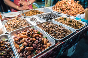Fried insects on the streets of Khao San Road in Bangkok, Thailand - 229383456