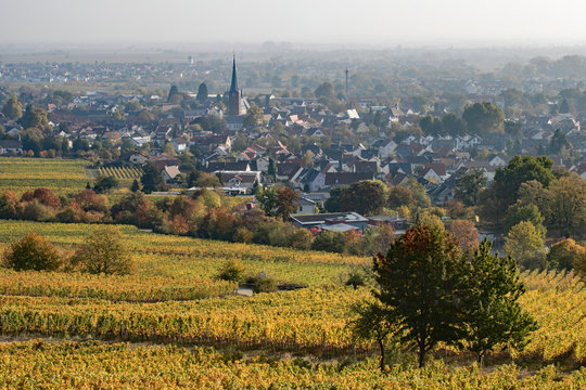 Herbst in Deidesheim