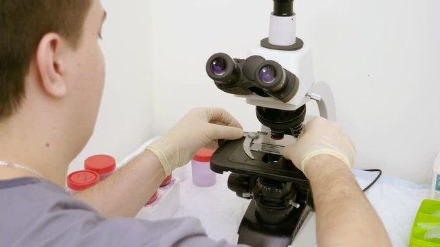 Veterinarian looking at biological sample from dog's ear under microscope in veterinary clinic. 4K