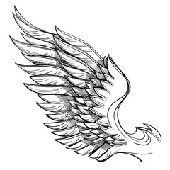 Vector illustration of wing, isolated on white background. Design element for tattoo, emblem, sign, vintage style posters and more.