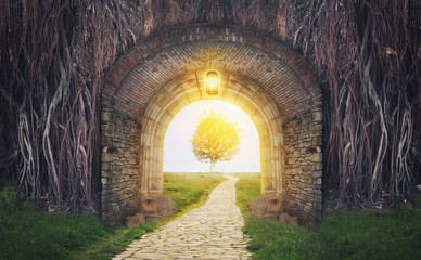 Mysterious gate in dreams.  New life or beginning concept - obrazy, fototapety, plakaty