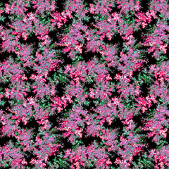 Fototapeta premium Vintage seamless watercolor pattern of plants. Herbs, black, pink, red flowers, dried flowers watercolor. On a black background, a beautiful trendy floral pattern