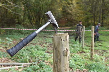 cloture grillage barrieres peste porcine Gaume Sanglier porcs Wallonie pose installation travail...