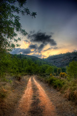 Road in the countryside and cloudy sky
