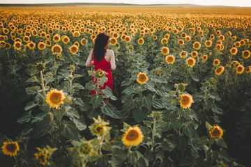 Woman in Sunflower Field