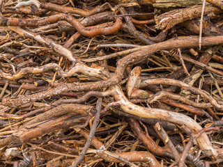Holzhaufen