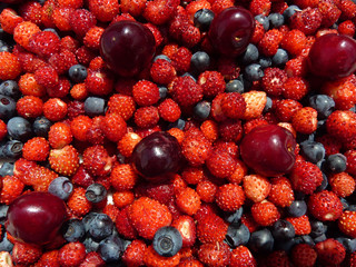 ROTE BEEREN . WALDBEEREN