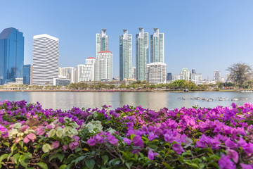Panoramic view of the city skyscrapers through the pink flowers and over big lake