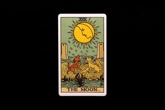 An individual major arcana tarot card isolated on black background. The Moon.