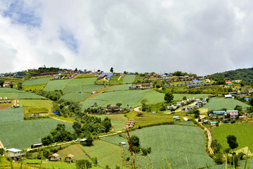 view of the village